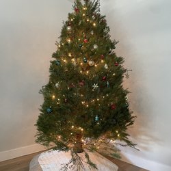 Chauvet Tree Farms