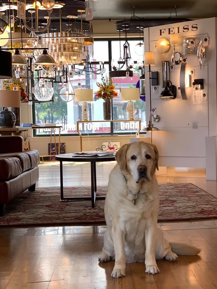 ALLOWAY LIGHTING COMPANY Updated September 2024 1501 W Main St, Boise, Idaho Lighting