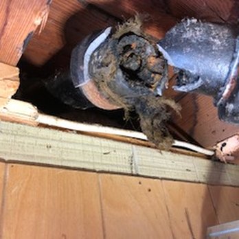 Zeolla Plumbing & Heating - BEFORE. 60 years of gunk - Plumbing Near Me - Stoughton, Massachusetts