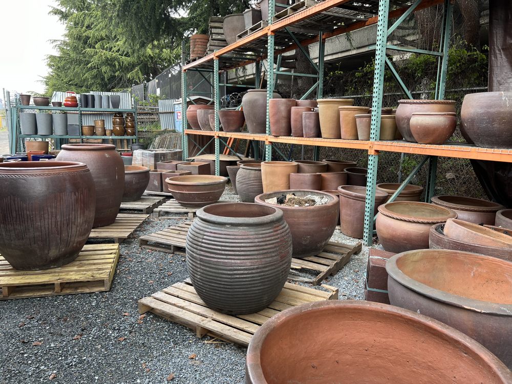 THE POTTED GARDENS Updated October 2024 923 S Bayview St, Seattle, Washington Nurseries