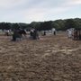 Photo of Old Field Farm