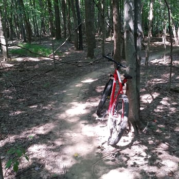 Thorn Mountain Bike Trail - Mountain Biking Near Me - Wellington, Ohio Thorn Mountain Bike Trail - Mountain Biking Near Me - Wellington, Ohio