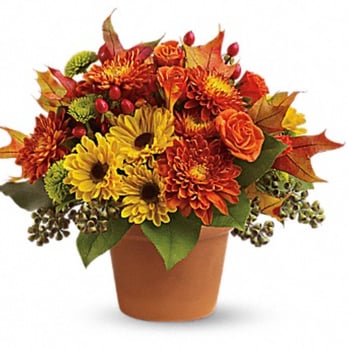 Miracle Flowers - This is what I ordered. - Florists Near Me - Folsom, California Miracle Flowers - This is what I ordered. - Florists Near Me - Folsom, California