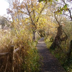 Espace naturel protégé : les marais du Quellen - Les marais du Quellen à Trébeurden - Photo (c) Stereden