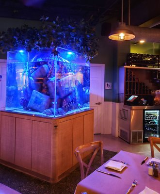 Square Grouper Bar and Grill by null