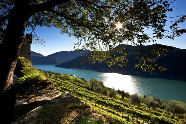 Tenuta Castello di Morcote by null