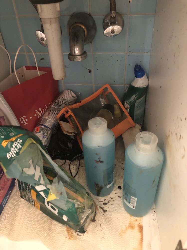 Slide of A 49.95 Any Sewer or Drain