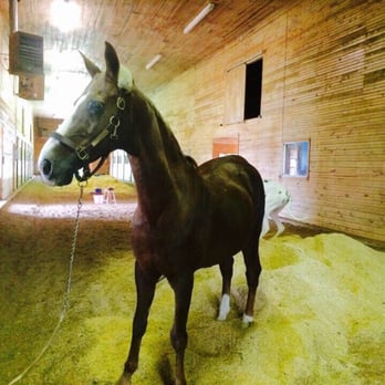 Brannon Stables - Horseback Riding Near Me - Lexington, Kentucky Brannon Stables - Horseback Riding Near Me - Lexington, Kentucky