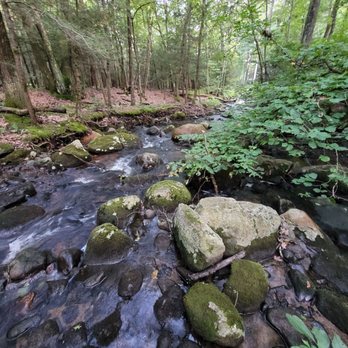 Swibold Trail - Confluence between Cherry Brook and Small Brook - Hiking Near Me - Canton, Connecticut