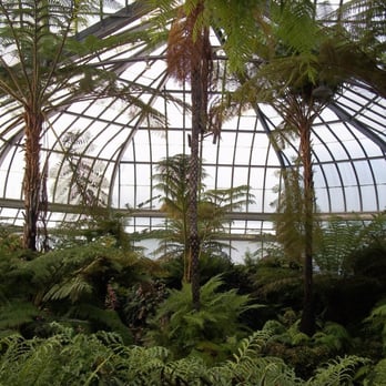 Anna Scripps Whitcomb Conservatory - Fernery - Botanical Gardens Near Me - Detroit, Michigan Anna Scripps Whitcomb Conservatory - Fernery - Botanical Gardens Near Me - Detroit, Michigan
