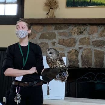 Teatown Lake Reservation - Barred Owl in class with Maddy - Hiking Near Me - Ossining, New York