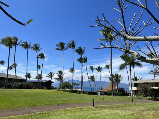 Napili Shores Maui by Outrigger by null
