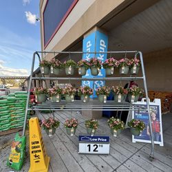 Lowe's Home Improvement