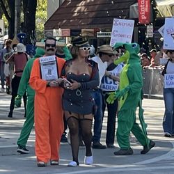 King Mango Strut