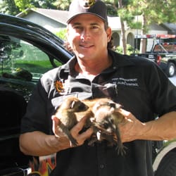 Phoenix Pest Management Wildlife