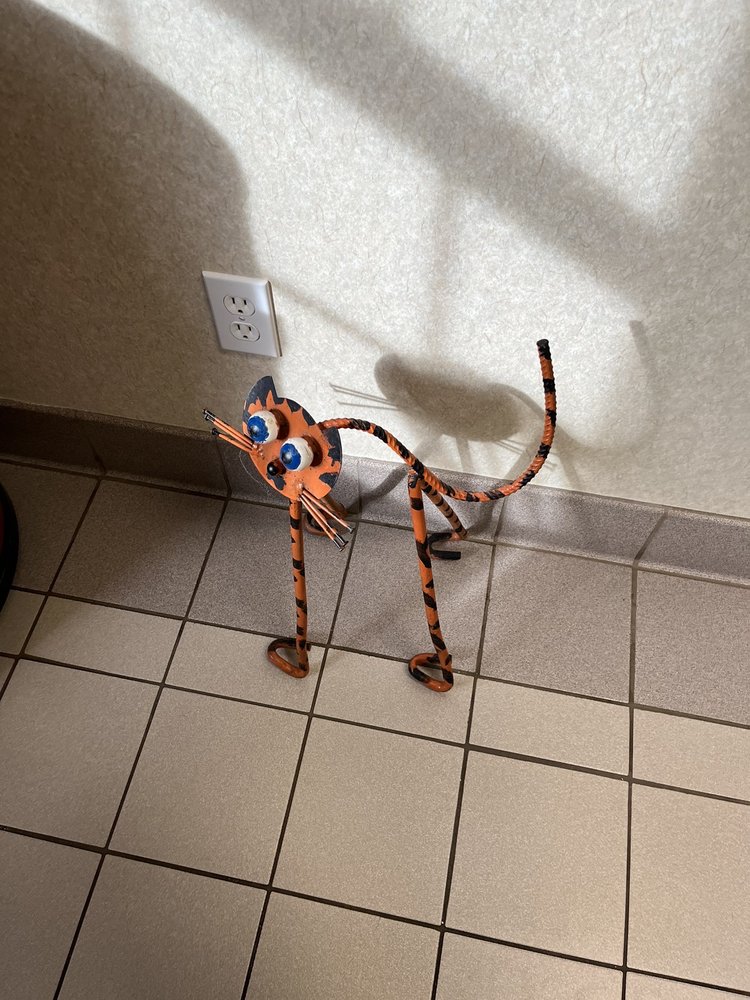 North Hampton Animal Hospital Image