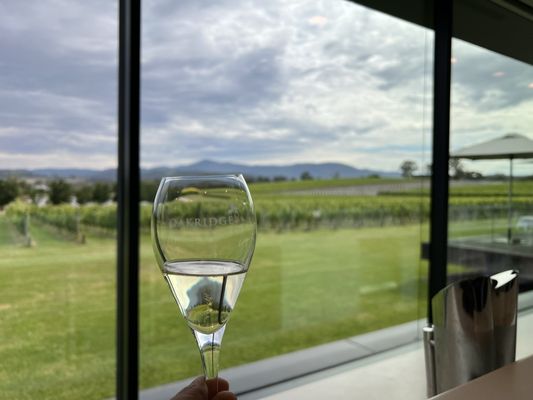 Oakridge Wines by null