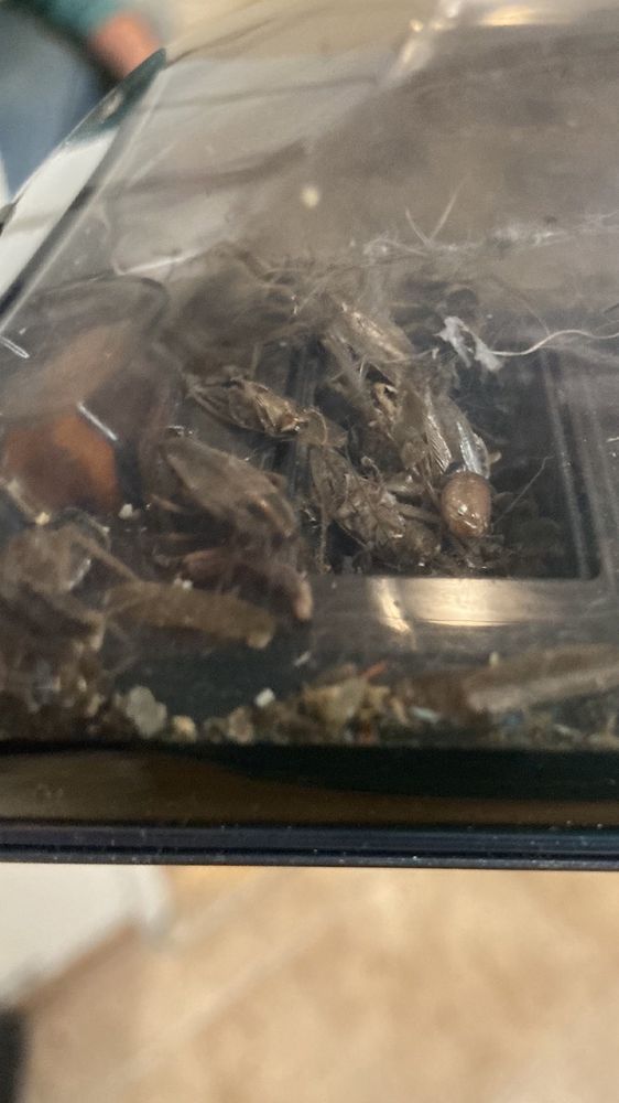 MARKS & CO Updated September 2024 12 Reviews 101 Millcreek Rd Ofc