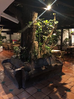 100% Natural Cancún by null