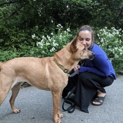 Jillian Music and Wellness - Me and Chloe talking a walk in between virtual sessions.