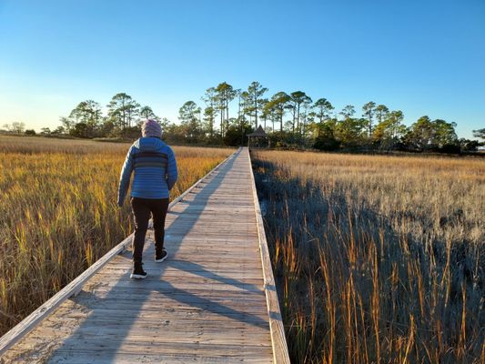 Hunting Island by null