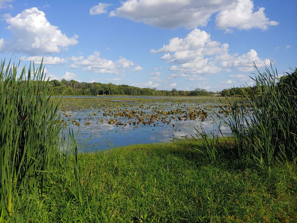 RITTER FARMS Updated September 2024 24 Photos 11300 Ritter Park