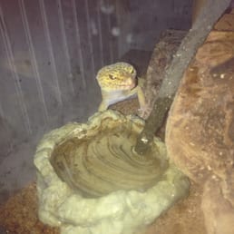 Yeah, I'm looking at you, so what?