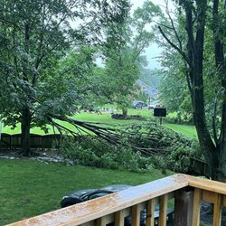 Lopez Tree Service - Tree feel and hit our fence