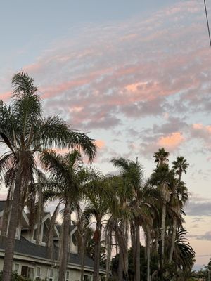 Abbot Kinney Blvd by null
