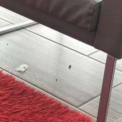 Amazing Lash Studio - Floors in lobby, bathroom and lash room all dirty