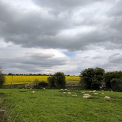 The Gamekeepers - View from the garden.