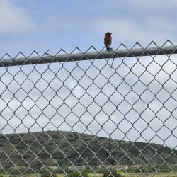 Oceanside Municipal Airport