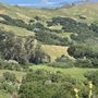 Photo of See Canyon - Prefumo Canyon Scenic Overlook