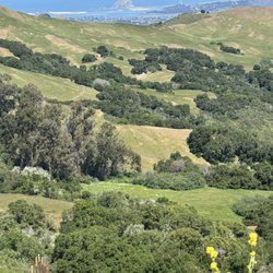 See Canyon - Prefumo Canyon Scenic Overlook - Morro Bay from the summit