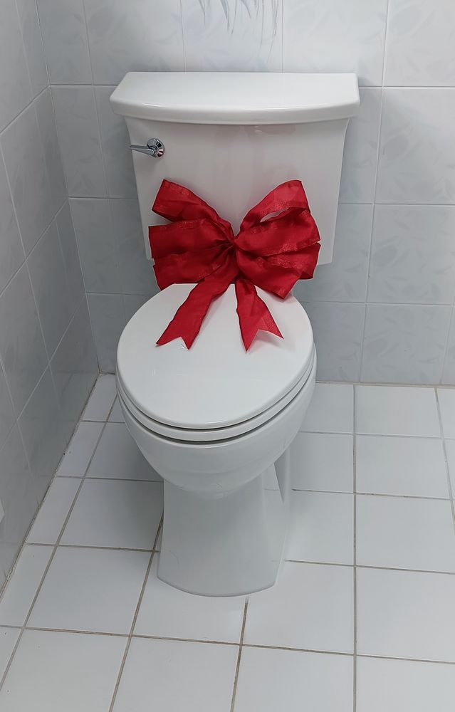 Slide of Garden Snake Drain Cleaning