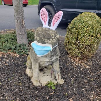 East York Veterinary Center - Easter bunny ears decoration in a garden statue of a dog who is also wearing a surgical mask. - Veterinarians Near Me - York, Pennsylvania East York Veterinary Center - Easter bunny ears decoration in a garden statue of a dog who is also wearing a surgical mask. - Veterinarians Near Me - York, Pennsylvania