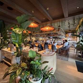 Del Mar Columbus - Interior of downstairs - Mediterranean Near Me - Columbus, Ohio Del Mar Columbus - Interior of downstairs - Mediterranean Near Me - Columbus, Ohio