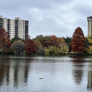 Lady Bird Lake - Hiking Near Me - Austin, Texas
