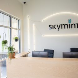 Skymint