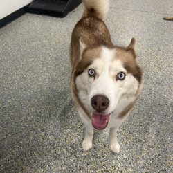 Playful Pack - Day care smoosh