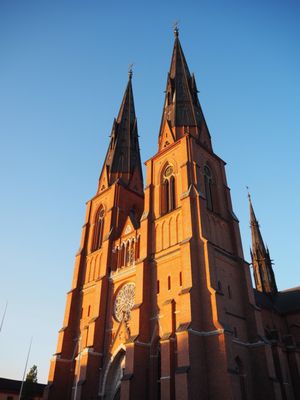Uppsala Cathedral by null