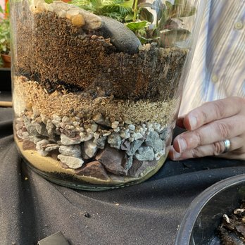 Pretty Green Terrariums - creating the sub-levels - Nurseries & Gardening Near Me - Philadelphia, Pennsylvania Pretty Green Terrariums - creating the sub-levels - Nurseries & Gardening Near Me - Philadelphia, Pennsylvania