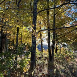 Bald Mountain Trail