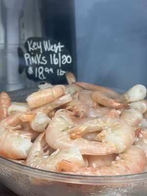 Brutus Land and Sea by null