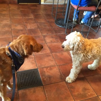 Miramonte Winery - Logan and Mojo - Wineries Near Me - Temecula, California Miramonte Winery - Logan and Mojo - Wineries Near Me - Temecula, California