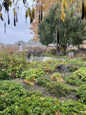 Buttonwood Farm & Vineyard by null