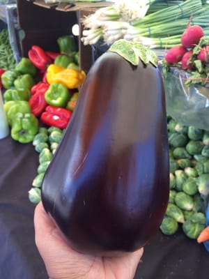 Willow Glen Farmers' Market by null