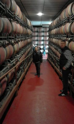 Bodegas Marqués de Cáceres by null