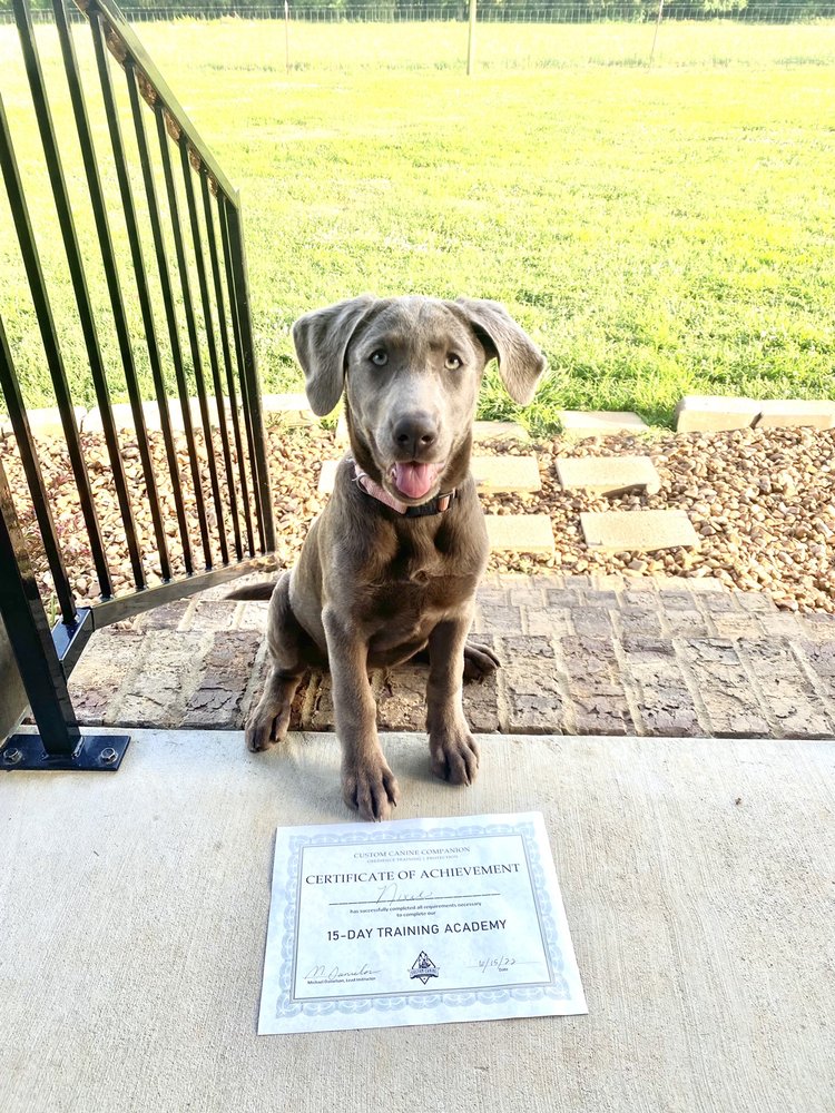 Custom Canine Companion - pet boarding facility in Chapel Hill, TN