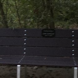 Gailey Trail at Nicholls Park - Memrorial Bench